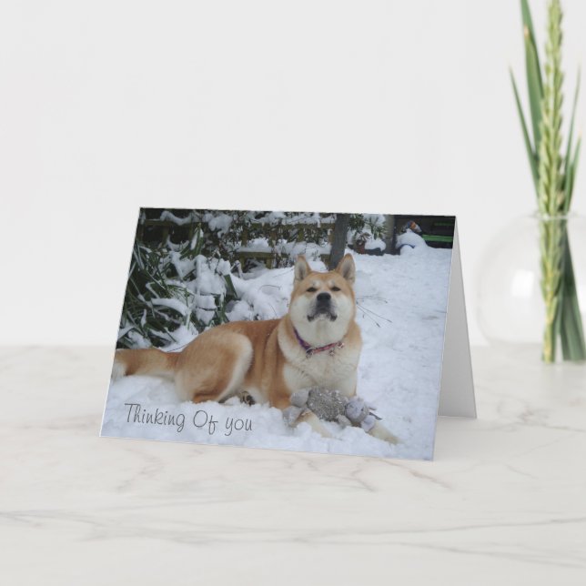 Tarjeta Festiva hermoso perro akita descansando en la nieve (Anverso)