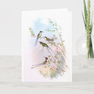 TARJETA FESTIVA HERMOSOS HUMMINGBIRDS
