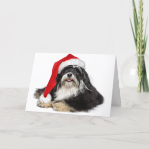 Tarjeta Festiva Hermosos Navidades Perro Havanés Con Santa Hat