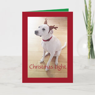 Tarjeta Festiva Hermosos Navidades rojos de perro de reno blanco