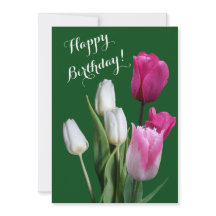 Hermosos tulipanes florales blancos rosados feliz 