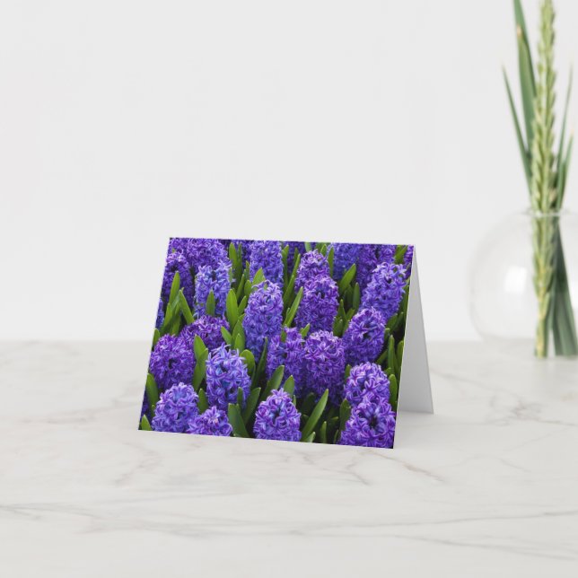 Tarjeta Festiva Hiacinato azul (Anverso)