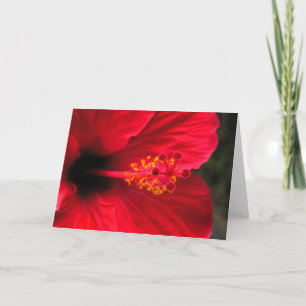 Tarjeta Festiva Hibisco rojo