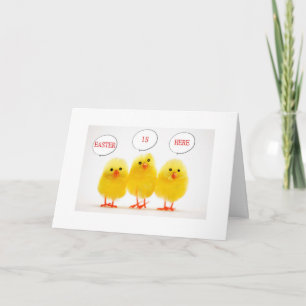 TARJETA FESTIVA HIP CHICKS EN EL CAMINO CON GREETINGS ORIENTALES