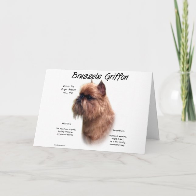 Tarjeta Festiva Historia de Rough Brussels Griffon (Anverso)