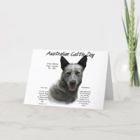 Historia del perro de ganado bovino azul australia
