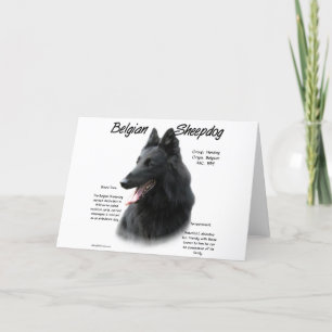 Tarjeta Festiva Historia del Sheepdog belga; todo sobre los Sheepd