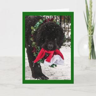 Tarjeta Festiva Ho Ho Ho