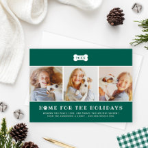 Hogar para la foto de perro verde de los feriados