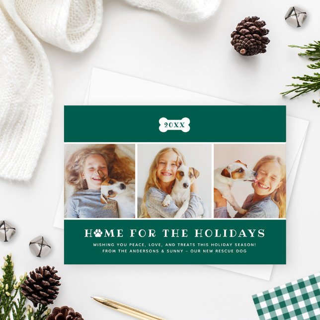 Tarjeta Festiva Hogar para la foto de perro verde de los feriados (Subido por el creador)