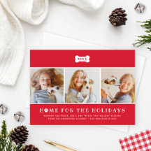 Hogar para la foto del perro rojo de los feriados