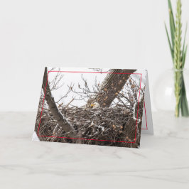 Tarjeta Festiva Hogar Para Las Fiestas