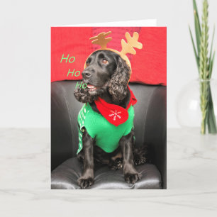 Tarjeta Festiva HoHoHo Cute Dog