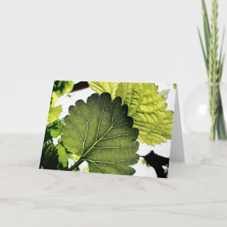 Tarjeta Festiva hoja en primavera
