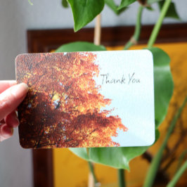 Tarjeta Festiva Hojas de arce de otoño