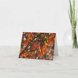 Tarjeta Festiva Hojas de Autum