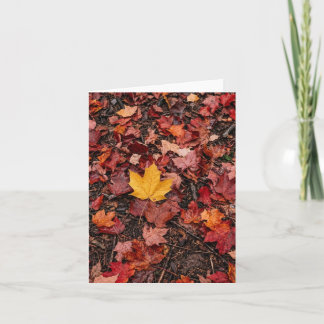 Tarjeta Festiva Hojas de Otoño