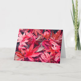 Tarjeta Festiva Hojas de otoño rojas