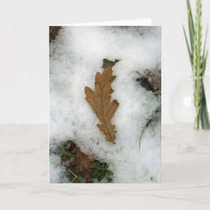 Tarjeta Festiva Hojas de roble en la nieve