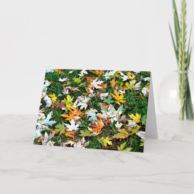 Tarjeta Festiva Hojas dispersadas (Anverso)