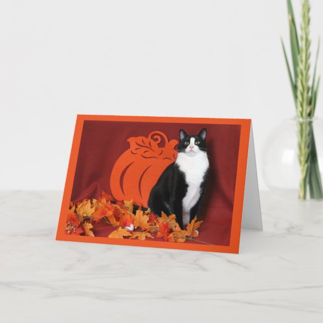 Tarjeta Festiva Hojas otoñales, calabaza y gato de Tuxedo (Anverso)