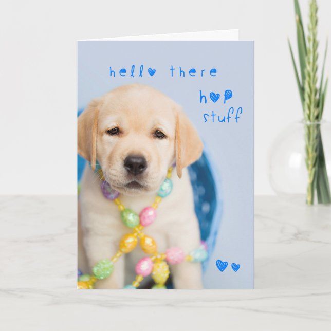 Tarjeta Festiva Hola, hay cosas de hip hop, perrito de laboratorio (Anverso)