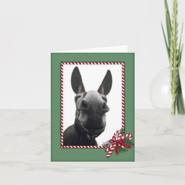 Tarjeta Festiva Holiday Cody (Anverso)