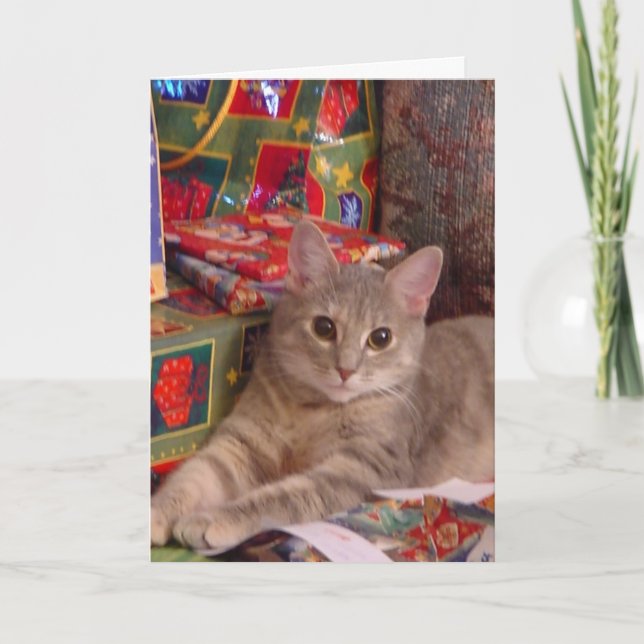 Tarjeta Festiva Holiday Kitty (Anverso)