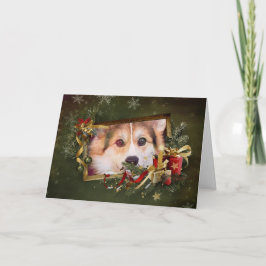 Tarjeta Festiva Holiday Tricolor Corgi Peeking