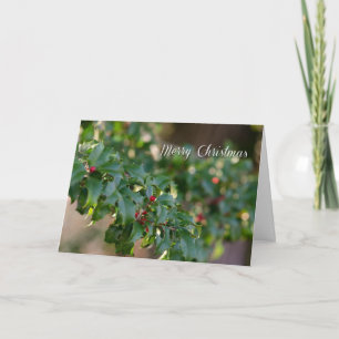 Tarjeta Festiva Hollies para Navidades