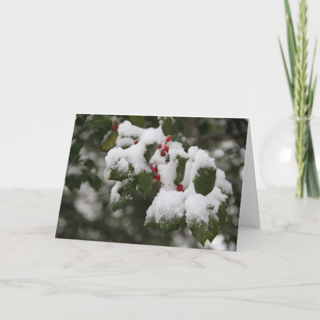 Tarjeta Festiva Holly in Fresh Snow, Blank Card, Use for Notes (Anverso)