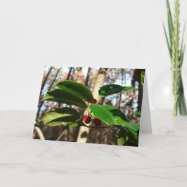 Tarjeta Festiva Holly Leaves I Holiday Botanical