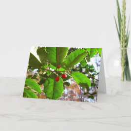 Tarjeta Festiva Holly Leaves II Naturaleza de las vacaciones Botán