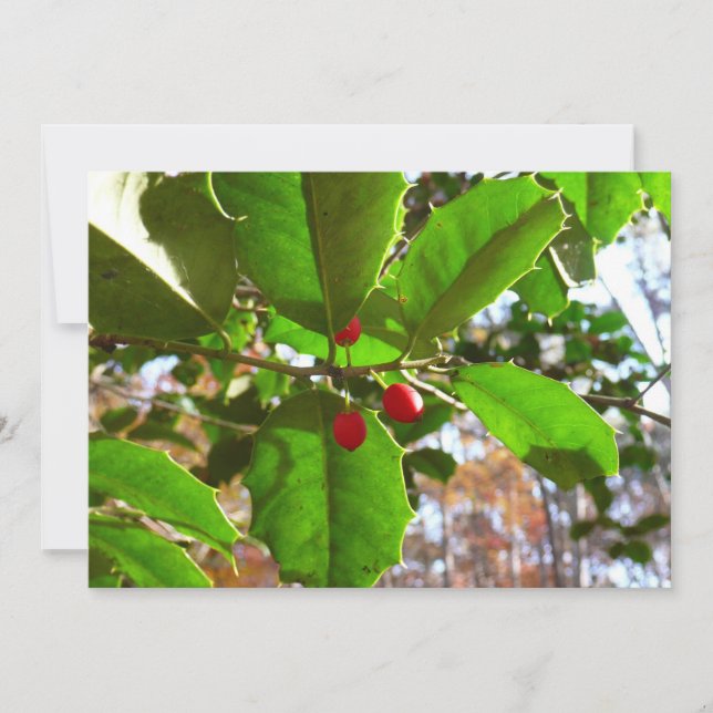 Tarjeta Festiva Holly Leaves II Naturaleza de las vacaciones Botán (Anverso)