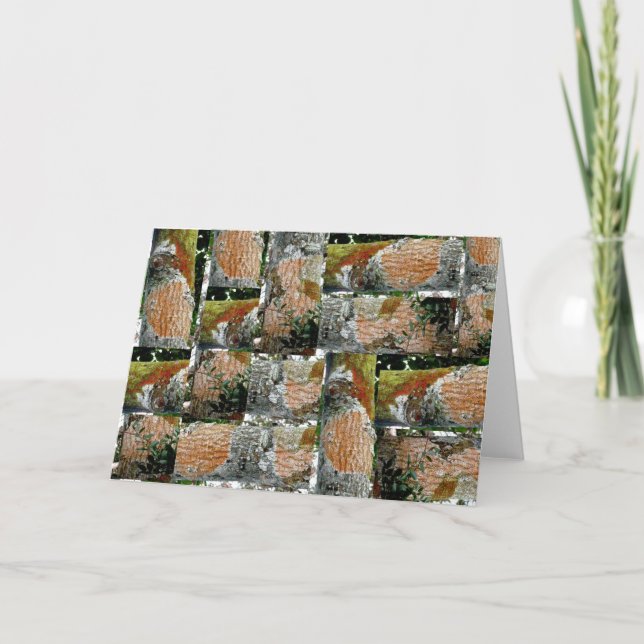 Tarjeta Festiva Holly Tree Bark Note Card OBX (Anverso)
