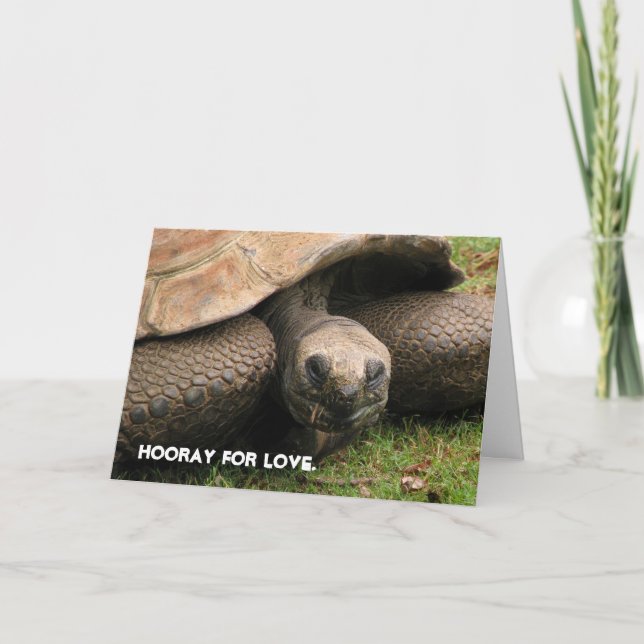 Tarjeta Festiva Hooray para el amor (Anverso)