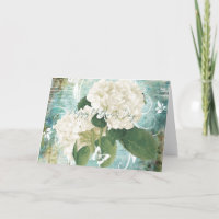 Hortensia blanca sobre azul