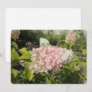 Tarjeta Festiva Hortensia Grandiflora