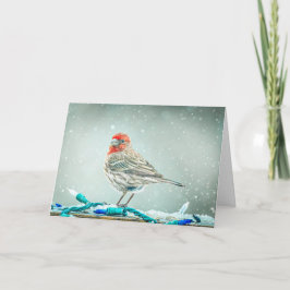 Tarjeta Festiva House Finch Christmas Card