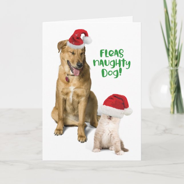 Tarjeta Festiva Huelgas de perro travieso Navidades graciosos perr (Anverso)