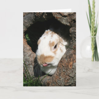 Tarjeta Festiva Humanidad de Bunny