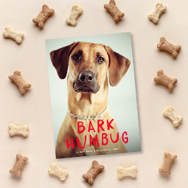 Tarjeta Festiva Humbug Bark Cute Funny Mascota Dog Photo