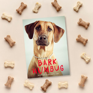 Tarjeta Festiva Humbug Bark Cute Funny Mascota Dog Photo