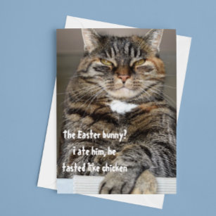 Tarjeta Festiva Humor divertido de conejito de pascua de gato judg