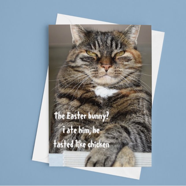Tarjeta Festiva Humor divertido de conejito de pascua de gato judg (Subido por el creador)