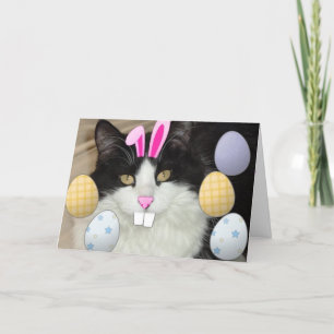 Tarjeta Festiva Humor gatito de Pascua