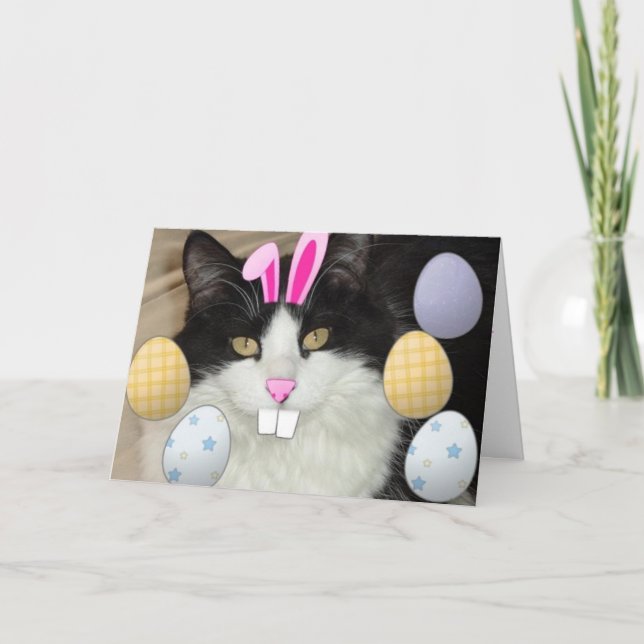 Tarjeta Festiva Humor gatito de Pascua (Anverso)