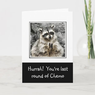 Tarjeta Festiva ¡Hurra! Cute Racoon Aplausos Gracioso Último Quimi