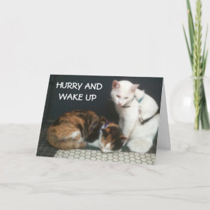 TARJETA FESTIVA HURRY AND WAUP=AGRADECIMIENTO