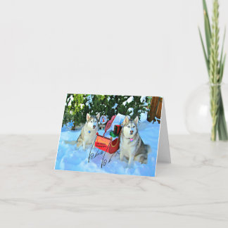 Tarjeta Festiva Huskyes siberianos y gato adorable